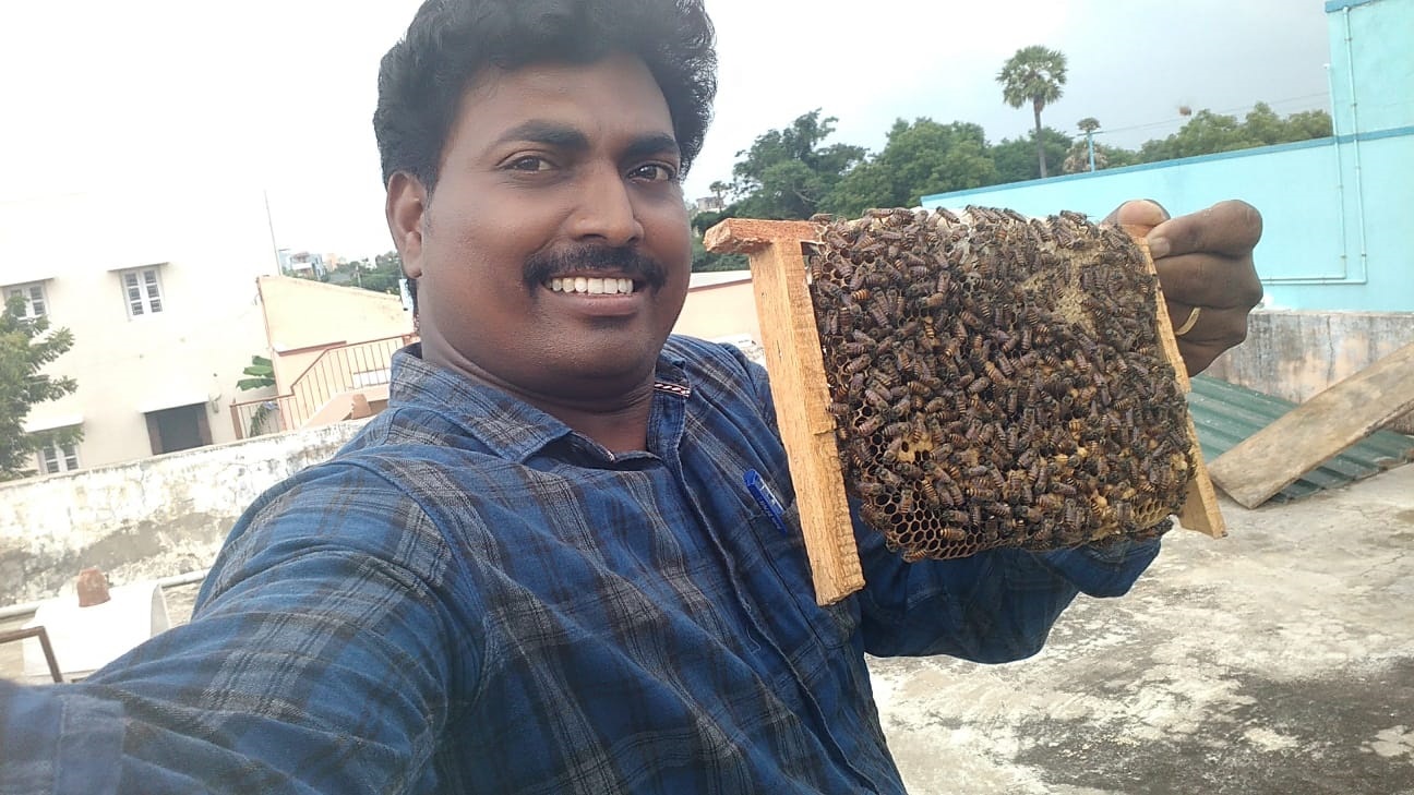 LAVA Company Beginnings