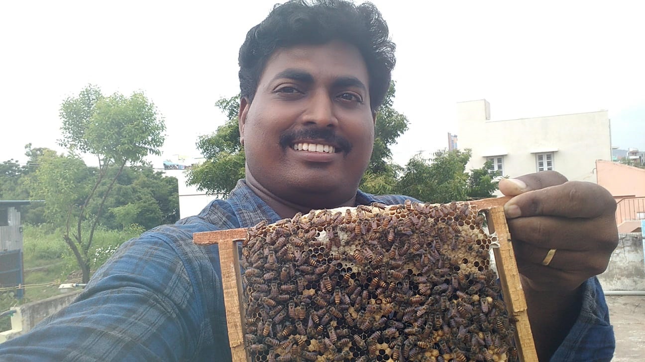 LAVA Company Beginnings