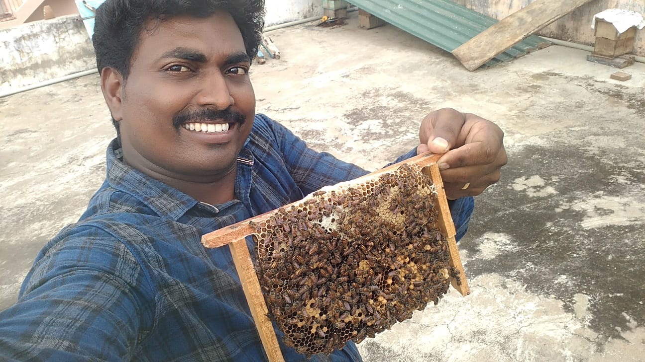 LAVA Company Beginnings