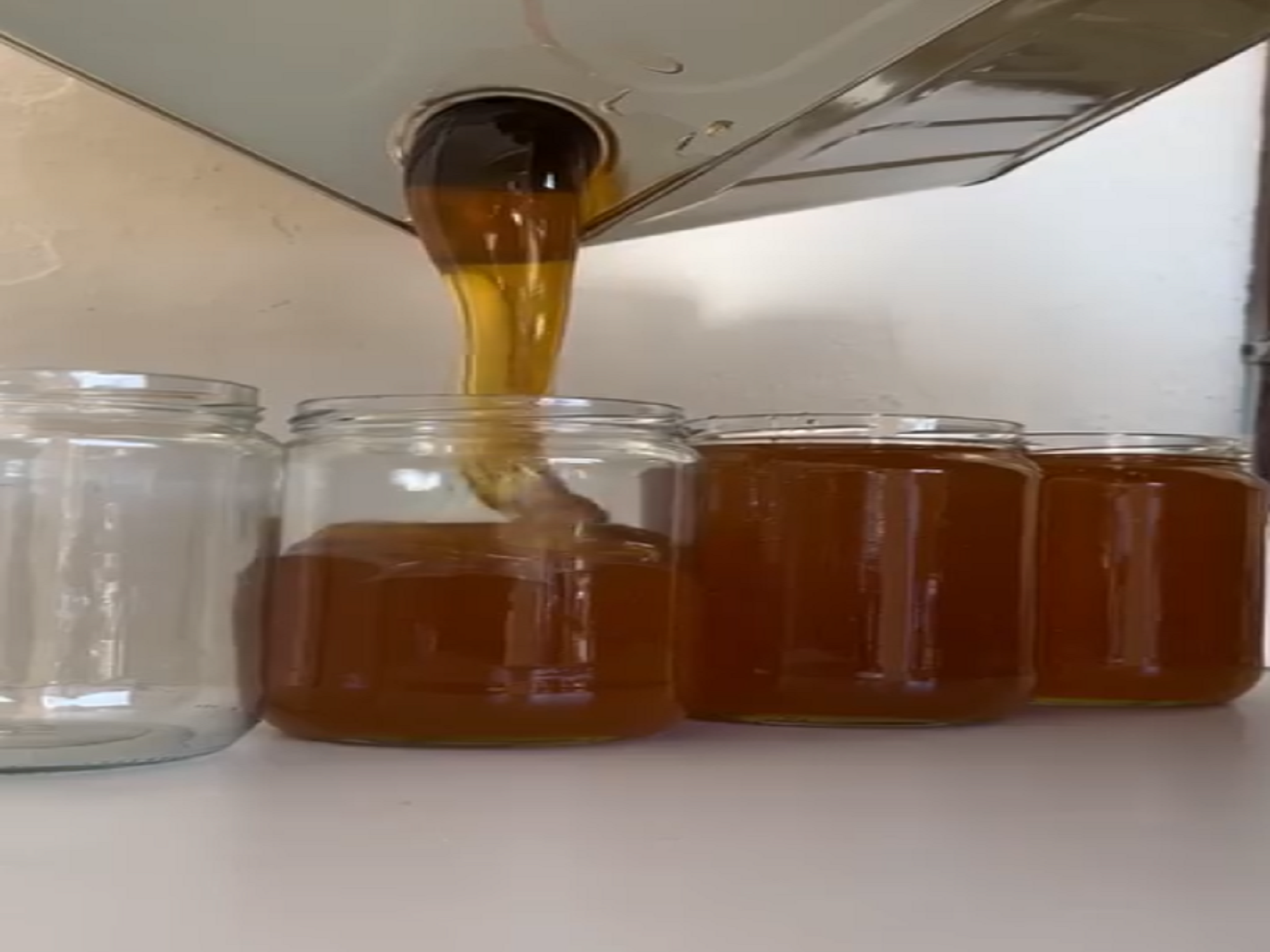 LAVA Company Beginnings